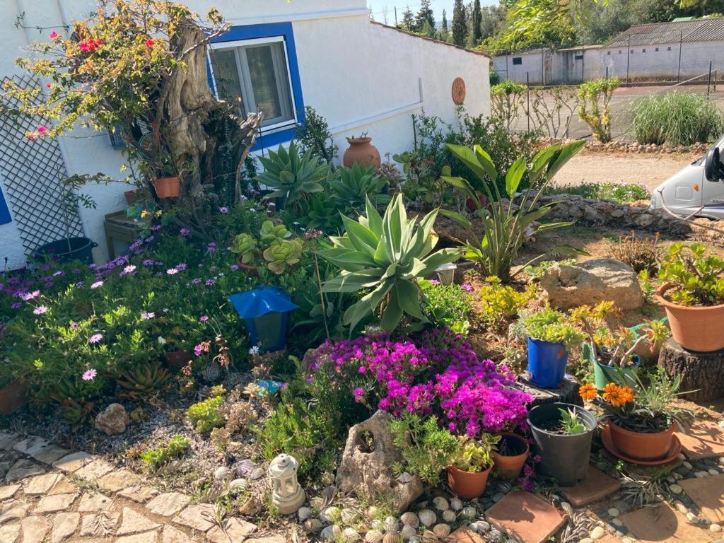 Casa Aleg Villa Albufeira Bagian luar foto